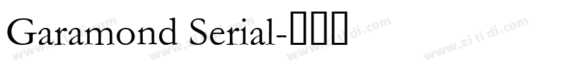 Garamond Serial字体转换